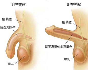 功能性障碍